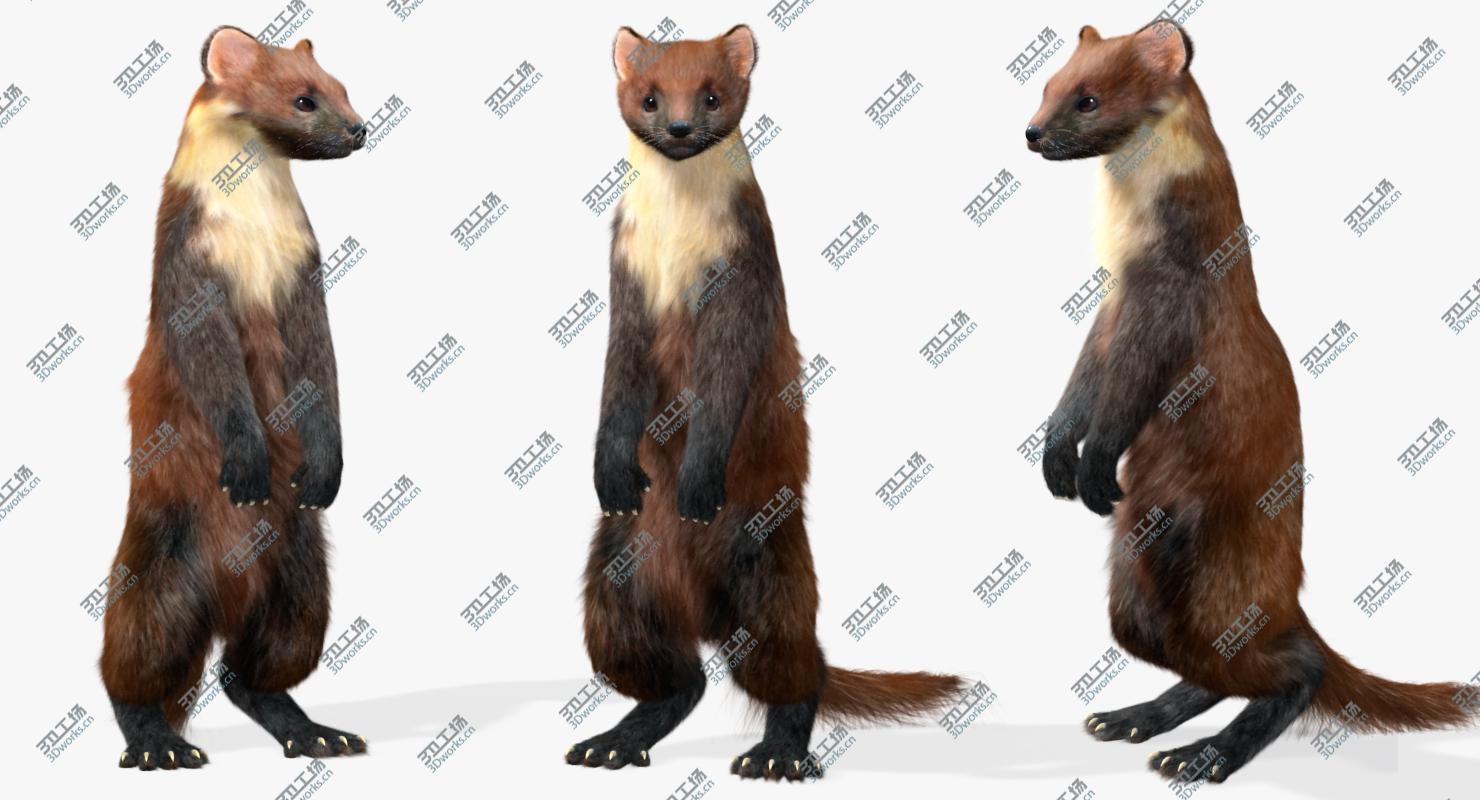 images/goods_img/2021040163/Marten (Animated,Fur)/3.jpg